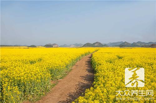 干锅菜花怎么做？家常做法是这样！