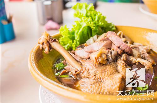 鸭子炖汤做法大全有哪几种？