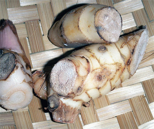 怀孕可以吃高良姜吗