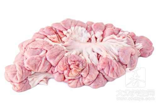 炖猪肚做法大全有哪些？介绍3种做法！