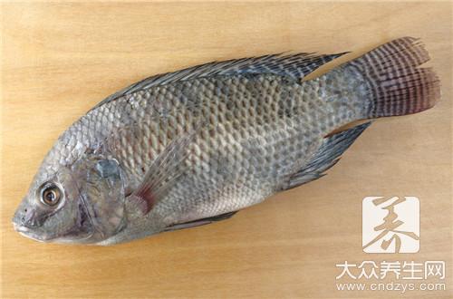 烤罗非鱼做法大全有哪些？学习这4种！