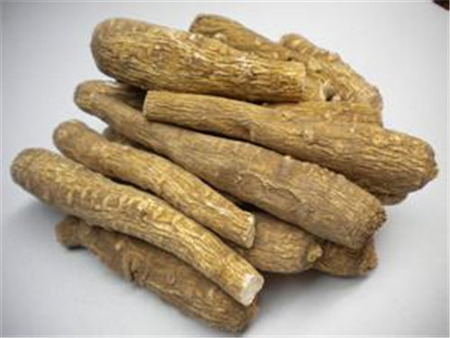 怀孕可以吃白芷吗