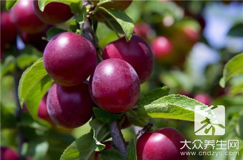 治慢性咽炎哪些食疗偏方有用