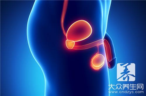 膀胱结石血尿是什么原因