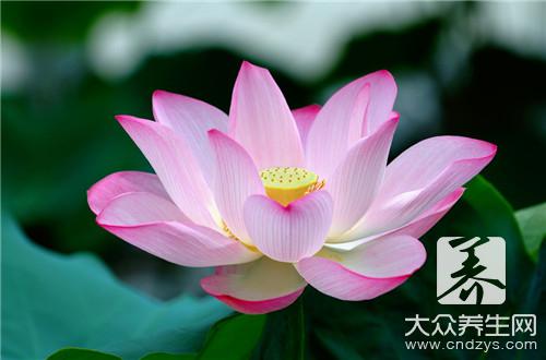 女性排卵期的六大微妙变化(2)