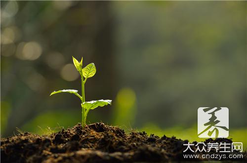 植物染发剂危害是什么 植物染发剂危害是什么