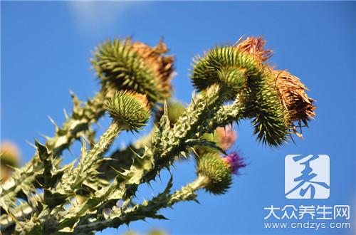 苍耳子泡脚功效是什么