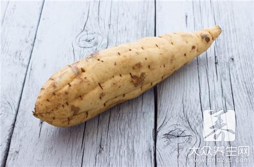 孕妇能吃白地瓜吗
