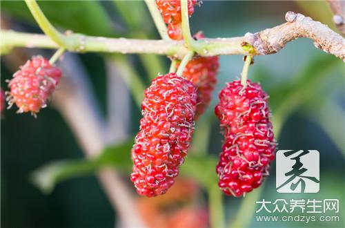 桑葚糯米粥