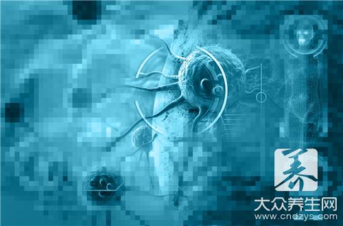 羊布鲁氏菌病的治疗方法