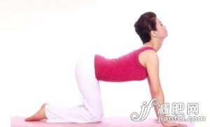 虎式瑜伽 调整背部线条 强健脊柱健康