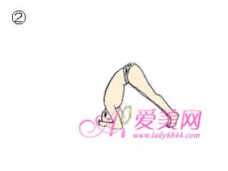 瑜伽，赘肉，减肥，运动