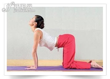 5招瑜伽动作保养脊椎,评尚网