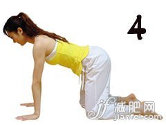 减肥的瑜伽动作原始动作
