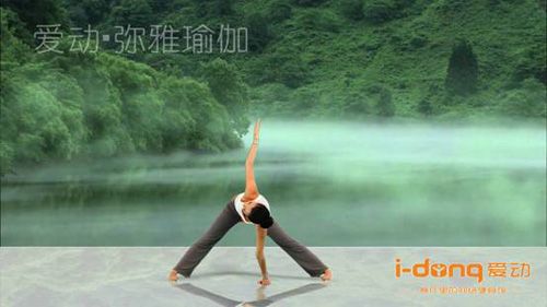 弥雅瑜伽——“双角旋动式”