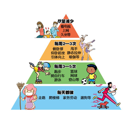 运动金字塔