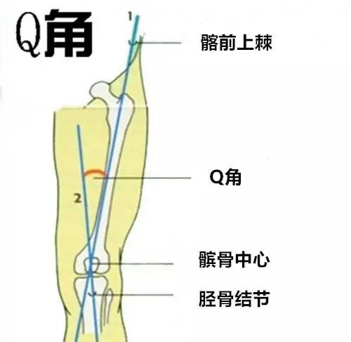 跑步减肥