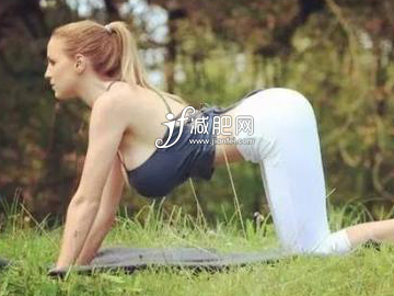 睡前什么运动最减肥 猫式伸展