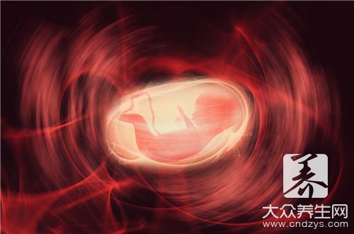 紫河车是什么