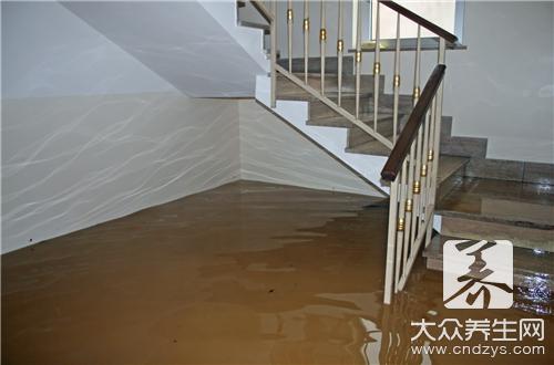 蒲公英泡水喝的功效