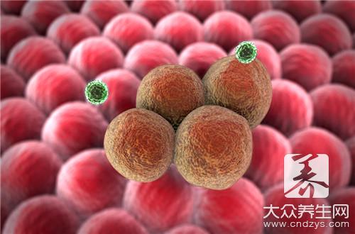 甲状腺微粒体抗体