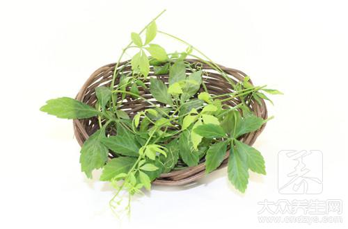 绞股蓝泡水喝的功效(1)