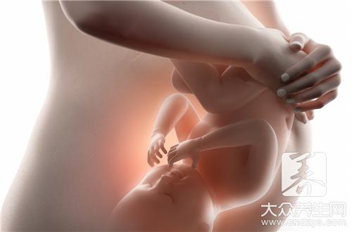 胎盘怎么吃，炖着吃营养价值高