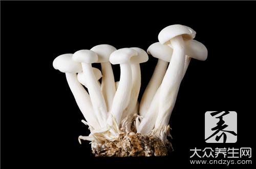三种茶堪称糖尿病的克星，糖友们有福了！(2)