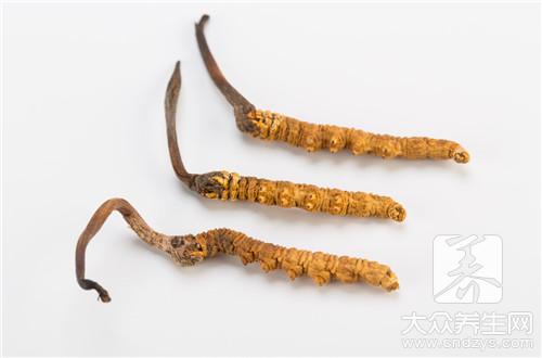 冬虫夏草一次吃几根，怎么吃 