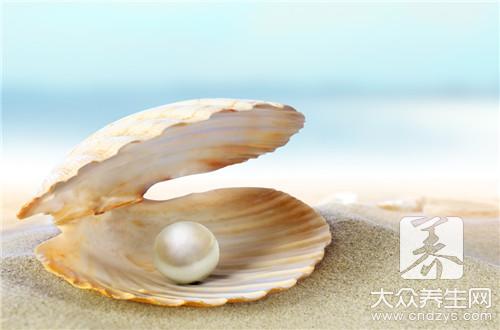 紫贝齿的功效与作用有哪些？紫贝齿的好处