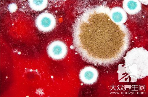 霉菌是什么