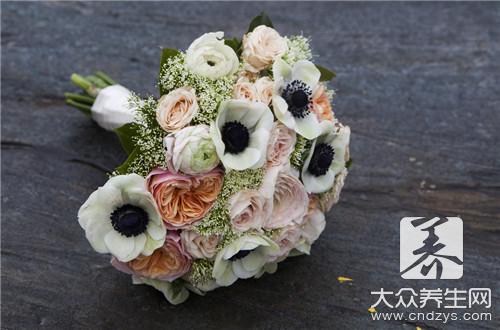 合欢花的功效与作用