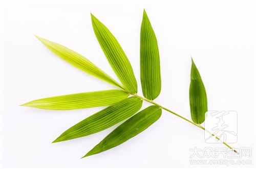 南非叶有什么功效与作用？