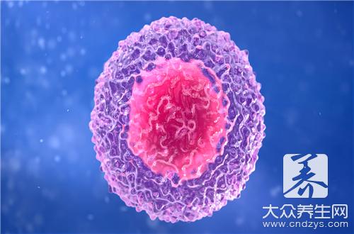 白细胞偏低吃什么好?